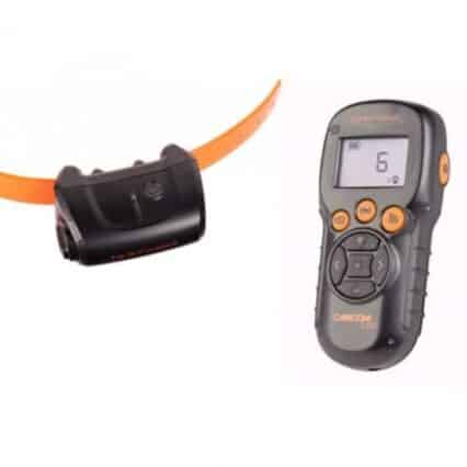 Collier de rappel, stimulation, dressage, d'obéissance, promenade