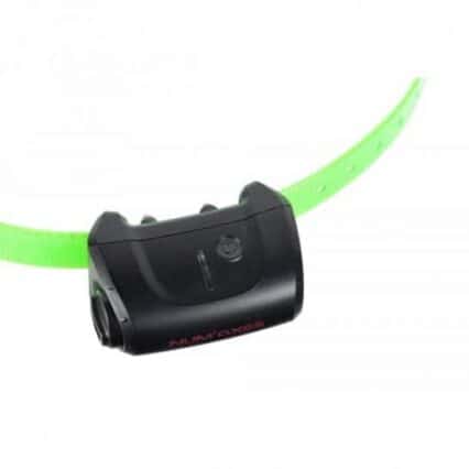 Collier de rappel, stimulation, dressage, d'obéissance, promenade