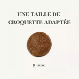 croquette chat adulte sans céréales à la volaille