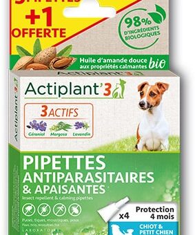 pipettes chiot et chien de petite taille