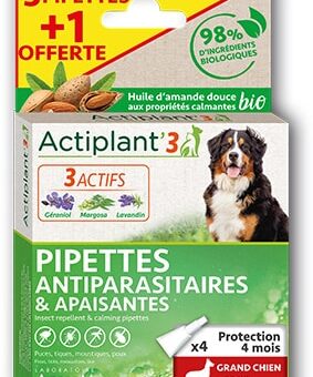pipette chien grande taille