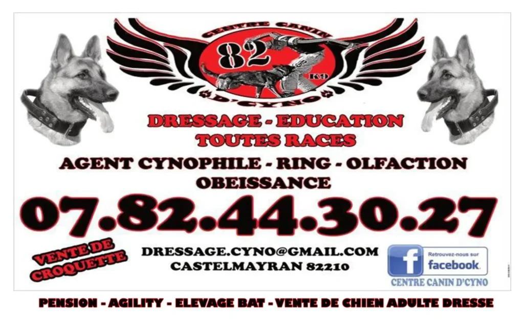 dcyno partenaire.jpg 1536x956 1